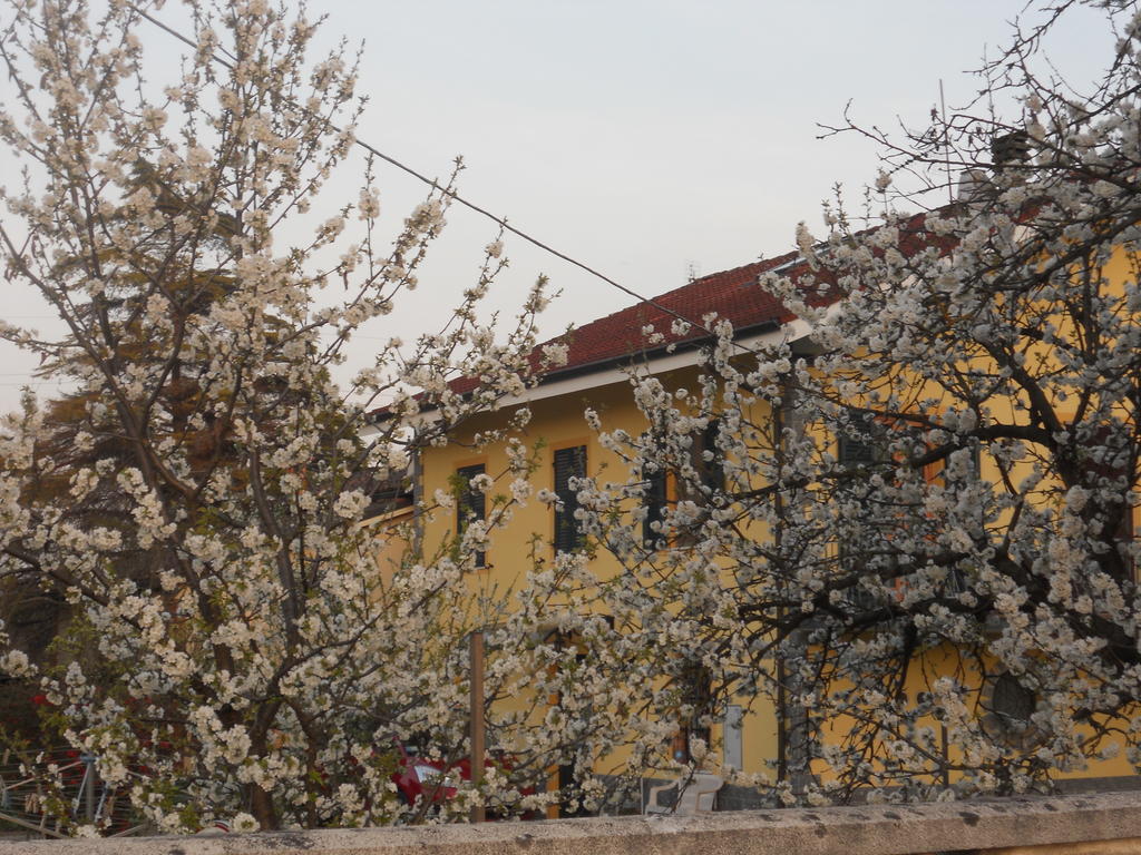 B&B Pervinca Rocca Grimalda Exterior photo
