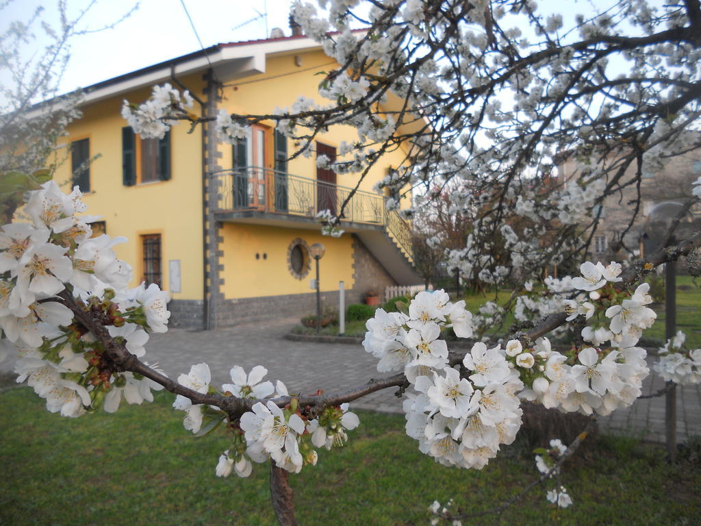 B&B Pervinca Rocca Grimalda Exterior photo